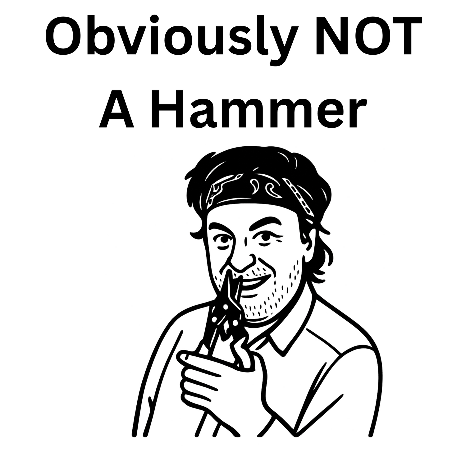 Not a Hammer – Character Series